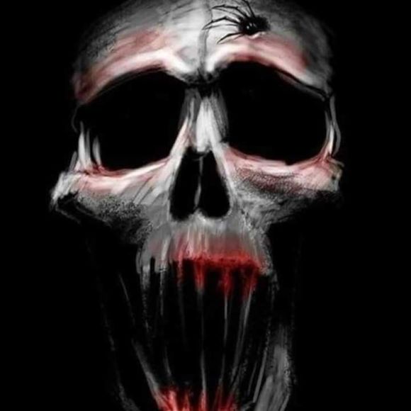 Meet your Posher, Shaun - Picture 1 of 1